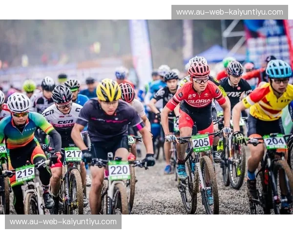 开云体育淘汰赛赛程：引领全球体育热潮，激情无限